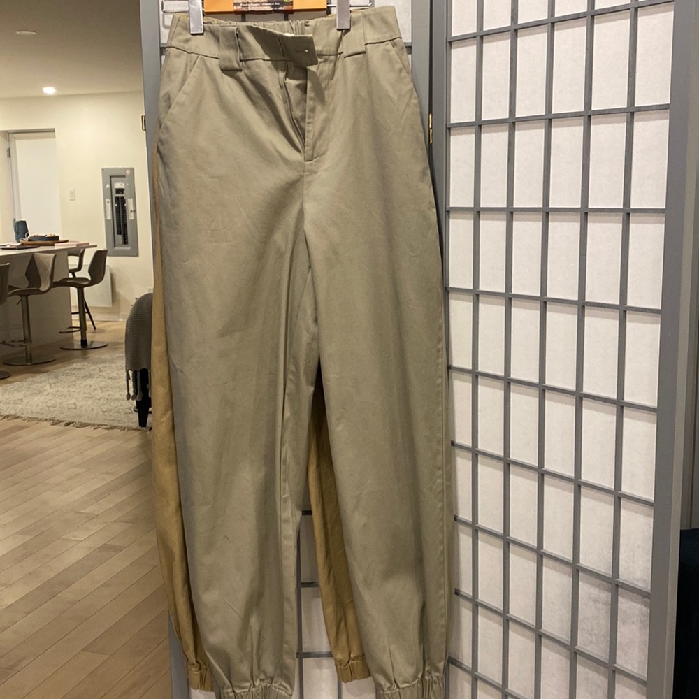 Aritzia cargo pants